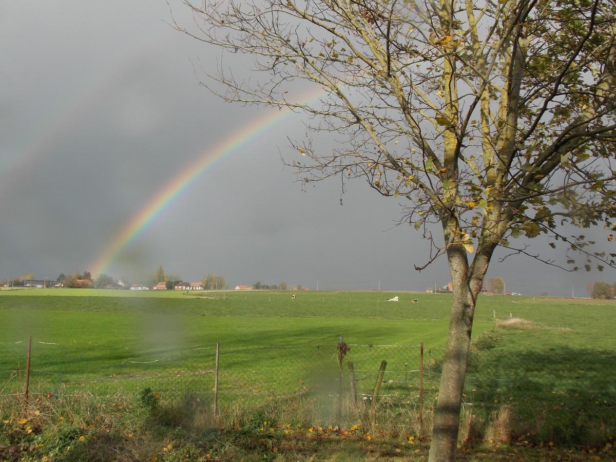 B&B De Linde Wijtschate Exteriér fotografie